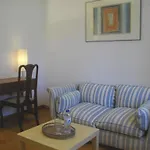 O Canto Da Terra Pantón