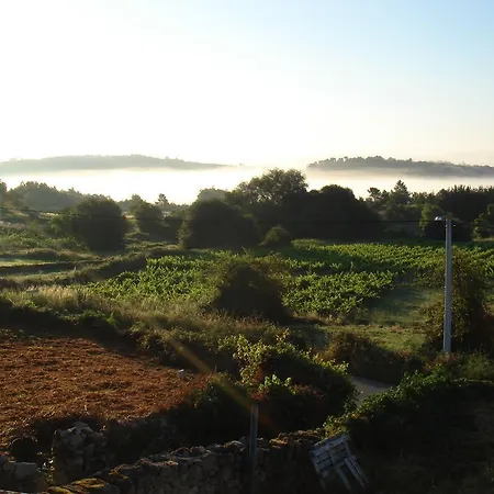 O Canto Da Terra Pantón