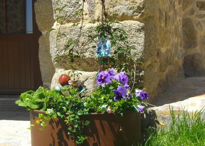 Gospodarstwo wiejskie O Canto Da Terra