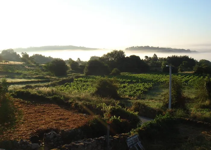 O Canto Da Terra Pantón